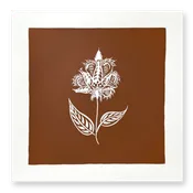 Bengal Botanical No. 2 on Brown