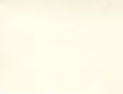 108" 200 COUNT MUSLIN NATURAL