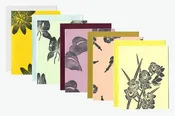 5-Card Pack