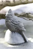 Cardinal