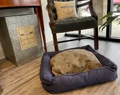 Anchor Motif on Pet Bed