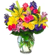 Rainbow of Blooms