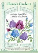 Antique Sweet Peas - Jewels of Albion