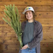 Foxtail Grass — Charles Little and Company LLC
