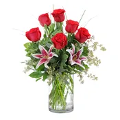 Crazy in Love - TMF-1532