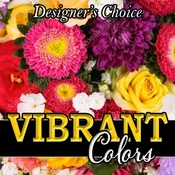 Designer's Choice - Vibrant Colors