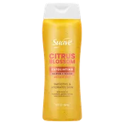 Citrus Blossom Exfoliating Body Wash & Scrub