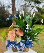 2 PLANT BASKET WITH BOW