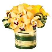 Sunshine: Yellow roses with cymbidium orchids. $80.00