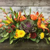 Fall Splendor
