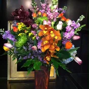 Grand Design With Orchids