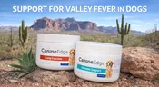 Canine "Valley Fever Package"