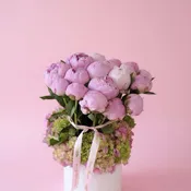 Peony Garden