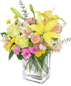 FLORAL FRESHNESS