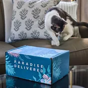 𝐂𝐚𝐭 𝐌𝐨𝐦 𝐌𝐲𝐬𝐭𝐞𝐫𝐲 𝐁𝐨𝐱 (10+ Items for cats & their amazing moms!)