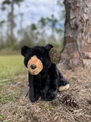 Plush- 12″ Black Bear