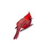 Cardinal Vinyl Sticker