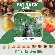 Big Rack Bundle | 36" - 60" | Pear, Apple & Chestnut