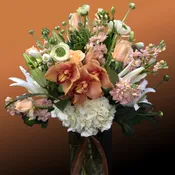 Bronze Cymbidium Dream