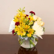 A Touch of Color