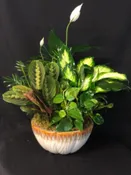 LARGE EURO CERAMIC DISH GARDEN