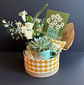 Succulent + Tea Cup Gift Set - Best flower delivery in Austin TX | Blackbird Floral