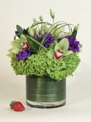 A Cymbidium Delight