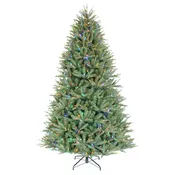 7.5′ Washington Valley Spruce