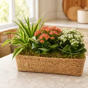 Blooming Wicker Garden