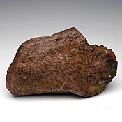 2.17 lb. Authentic Triceratops Jaw Bone Fossil