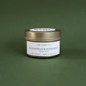 Blue Spruce & Evergreen Travel Tin Candle