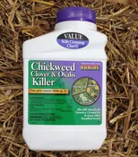 Chickweed Clover and Oxtail Killer