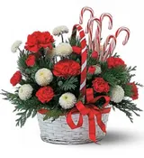 CANDY CANE HOLIDAY