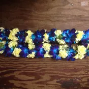 Leis #24
