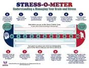 Clinician's Trauma Bundle 2 - 8 charts and more!