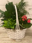 Basket Blooming Garden