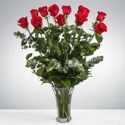 Dozen Long Stemmed Red Roses by BloomNation™