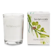 Perfumed Candle - Olive Leaf