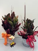 Croton &amp;amp; Cattails