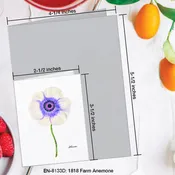 1818 Farm Anemone, Greeting Card (#8133D)