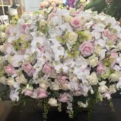 Casket Spray 24