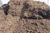 Mushroom Soil Compost - Sensenig's Landscape Suppy: Transform Your Outdoors