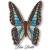 Blue Bottle Butterfly