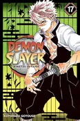 Demon Slayer: Kimetsu no Yaiba Vol. 17 – Official Manga | The Battle Reaches New Heights — Ray Gun Comics