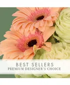 DESIGNER'S CHOICE PREMIUM