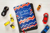 100 Bible Promises for Boys