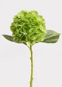21” Green Hydrangea Stem