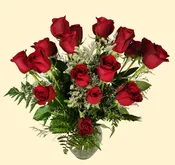 16 Roses – Choose Your Color/Quantity