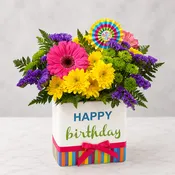 Birthday Color Splash