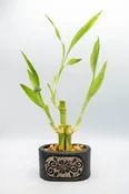 Ceramic Oval Floral Planter